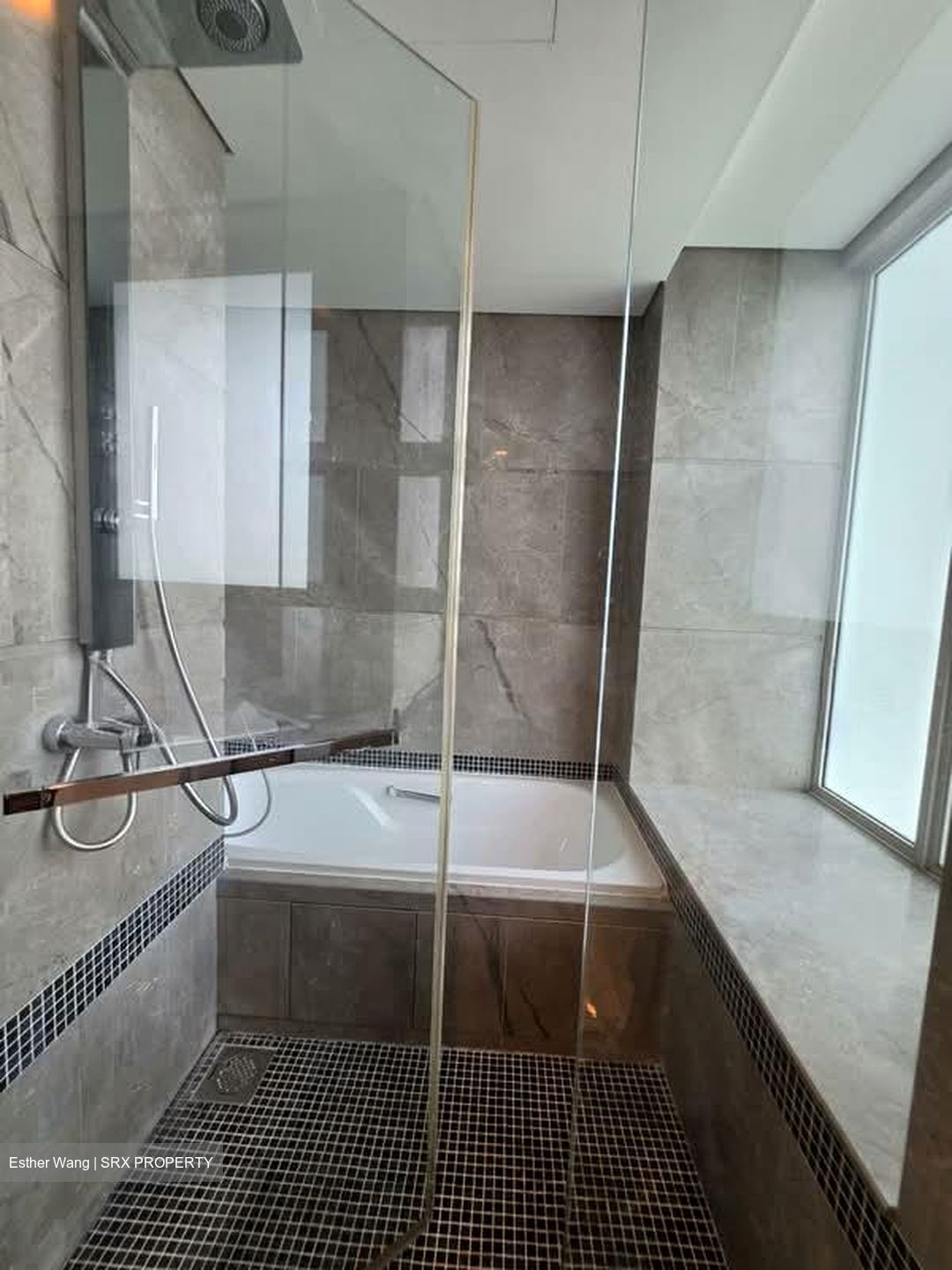 The Vision (D5), Condominium #601464831